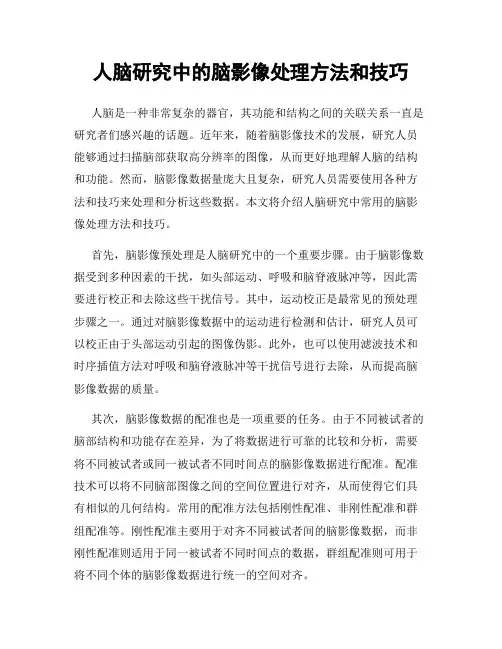 人脑研究中的脑影像处理方法和技巧