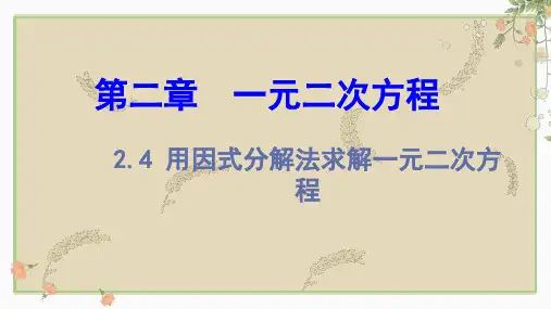 用因式分解法求解一元二次方程 课件 数学九年级上册