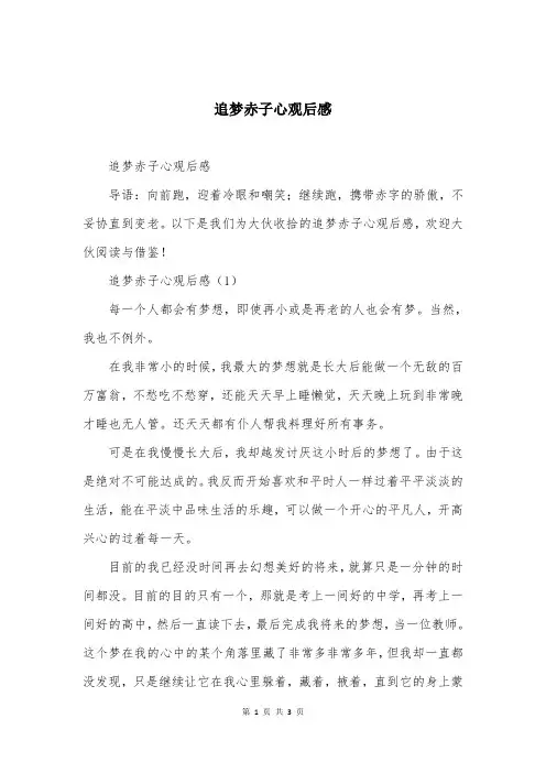 追梦赤子心观后感