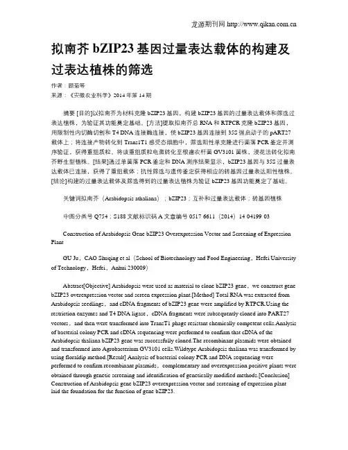 拟南芥bZIP23基因过量表达载体的构建及过表达植株的筛选