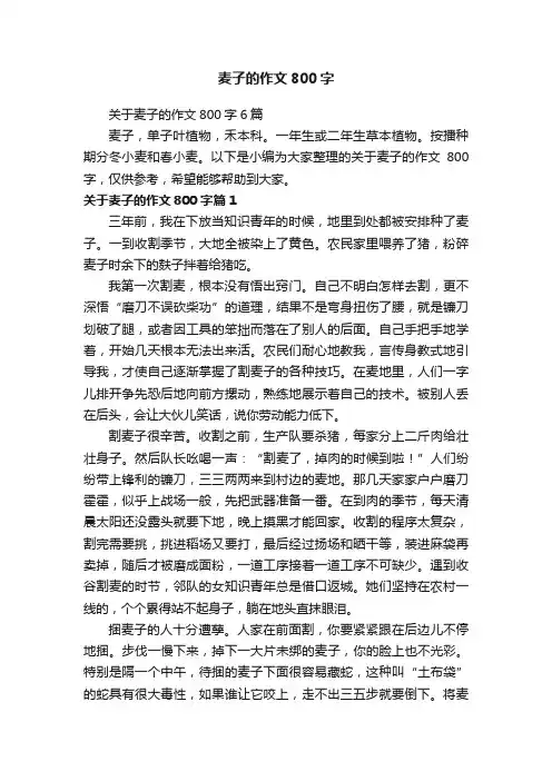关于麦子的作文800字6篇