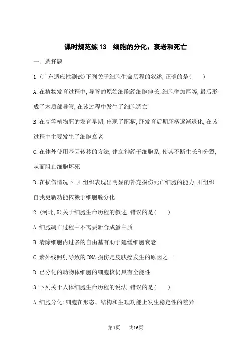 人教版高考生物学一轮总复习课后习题 第4单元 细胞的生命历程 课时规范练13 细胞的分化、衰老和死亡