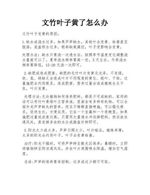 文竹叶子黄了怎么办