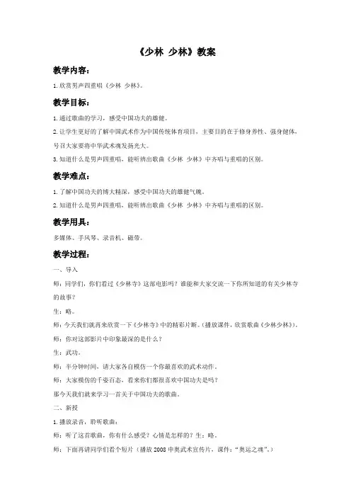 《少林少林》教案