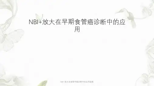 NBI+放大在食管早癌诊断中的应用进展ppt课件