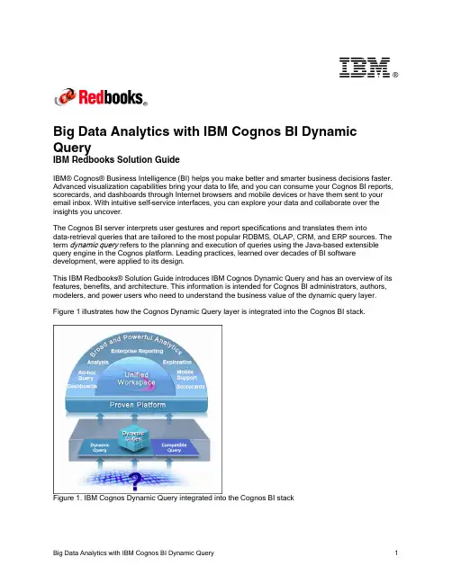 IBM Cognos BI 动态查询大数据分析说明书