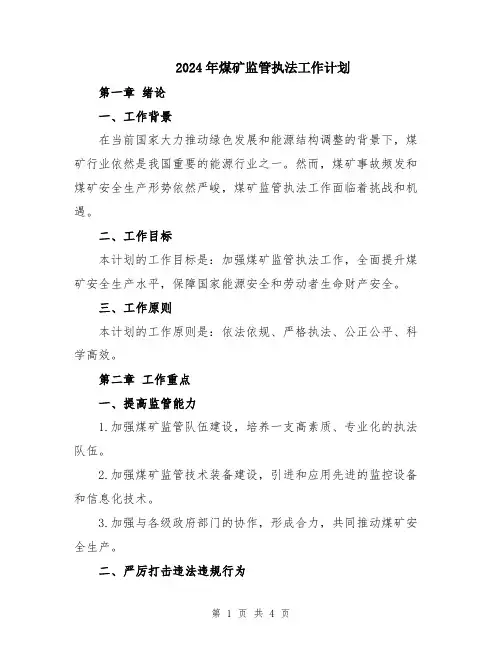 2024年煤矿监管执法工作计划