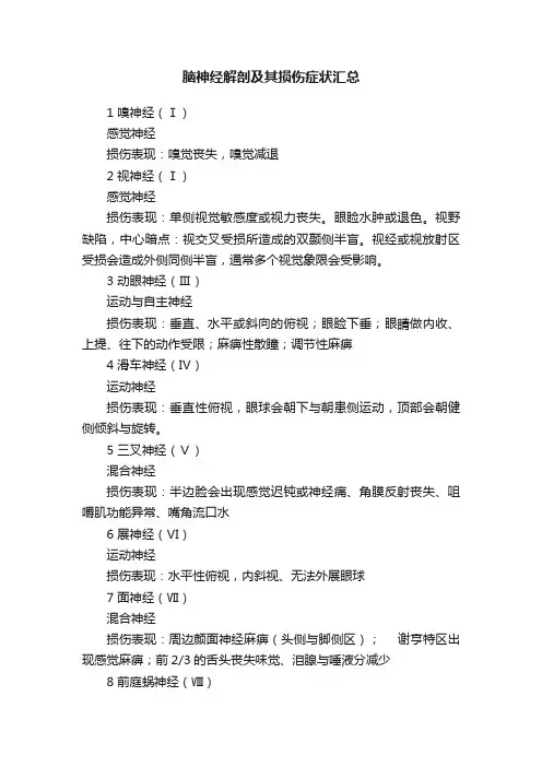 脑神经解剖及其损伤症状汇总