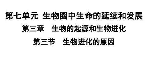 人教版生物八年级下册 第七单元第三章第三节生物进化的原因课件(共25张PPT)