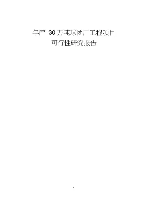 年产30万吨球团厂工程项目可行性研究报告