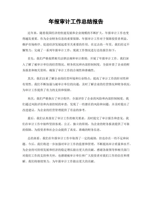 年报审计工作总结报告