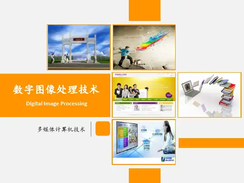 数字图像处理技术PPT课件.ppt