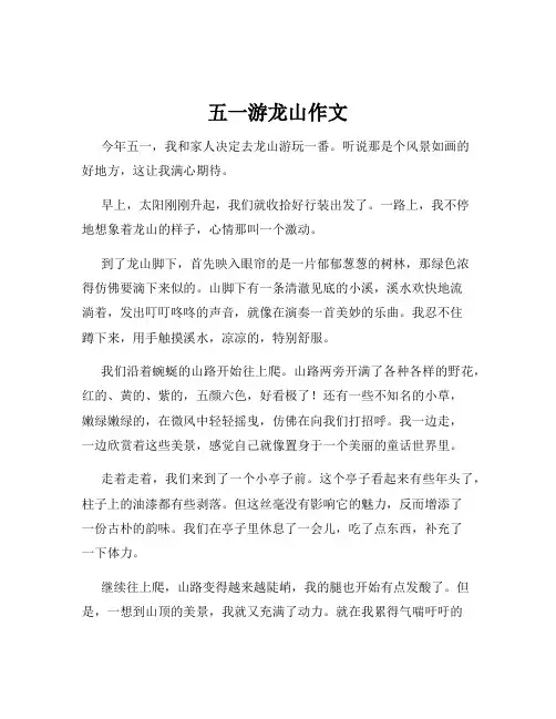 五一游龙山作文