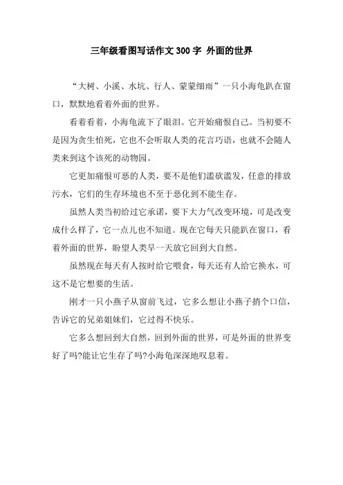 三年级看图写话作文300字 外面的世界