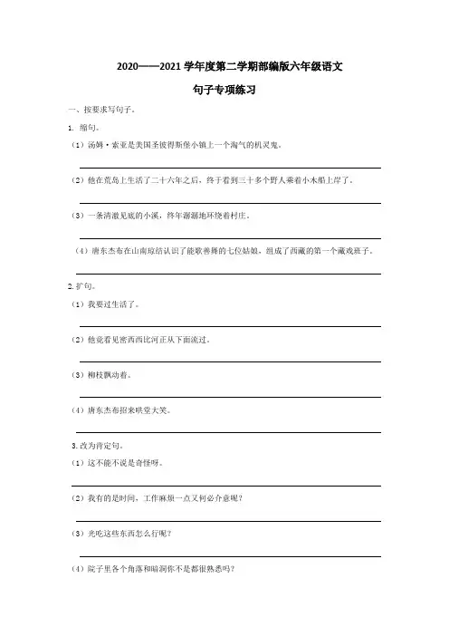 部编版六年级下册语文句子专项