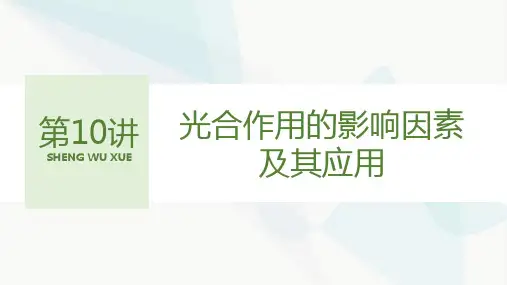 人教版2024届高考生物一轮复习光合作用的影响因素及其应用课件
