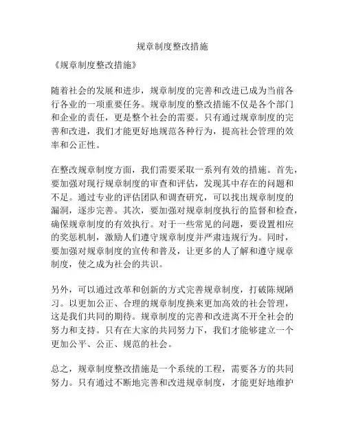 规章制度整改措施