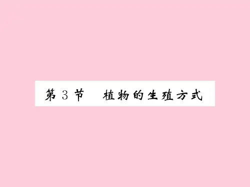 19.3 植物的生殖方式 2020秋北师大版八年级上册生物课件