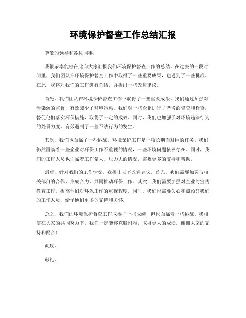环境保护督查工作总结汇报