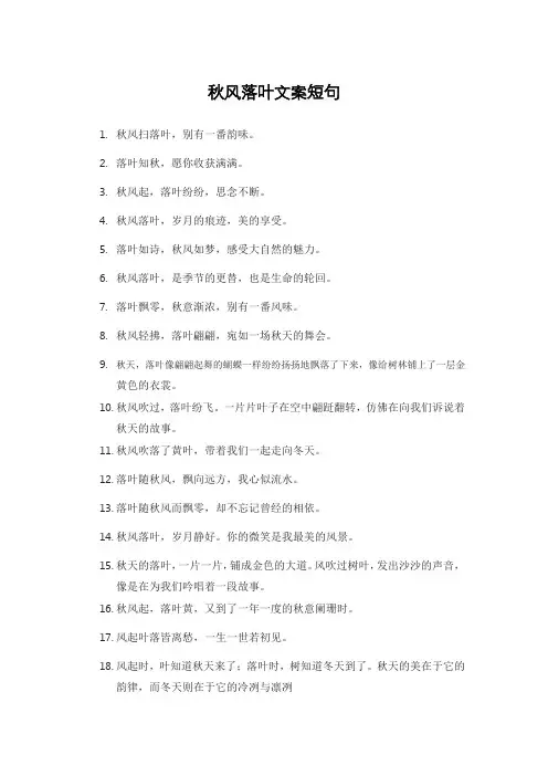秋风落叶文案短句