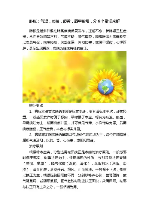 肺胀：气短，咳喘，痰黄，唇甲紫绀，分6个辩证来解