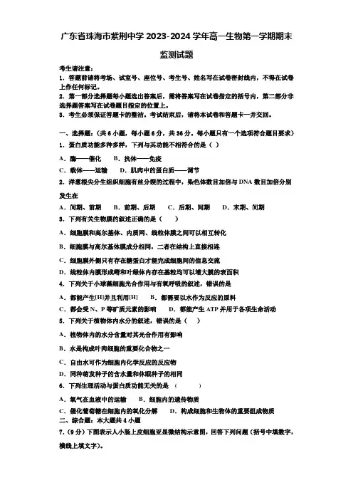 广东省珠海市紫荆中学2023-2024学年高一生物第一学期期末监测试题含解析