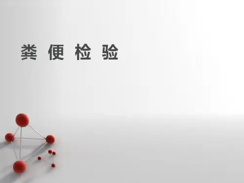 粪便检验  ppt课件