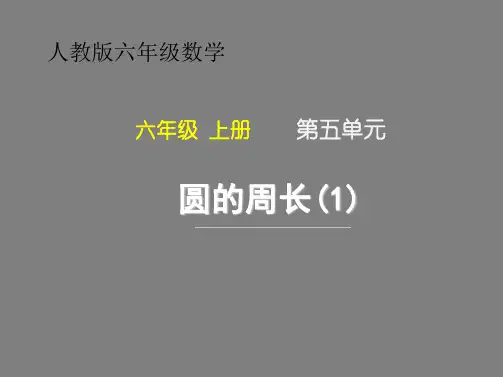 人教版六年级数学上册第五单元 《圆的周长(1)》
