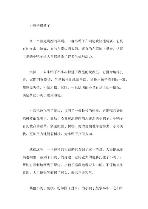 小鸭子得救了(看图作文)作文