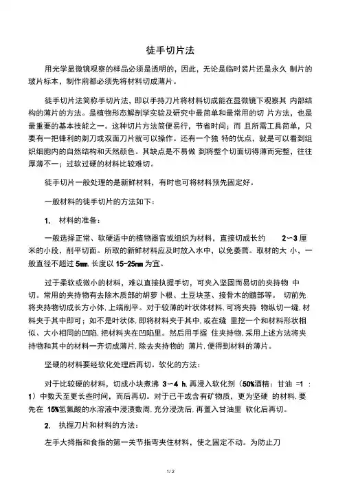 徒手切片法