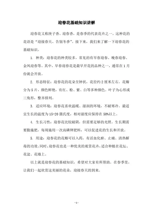 迎春花基础知识讲解