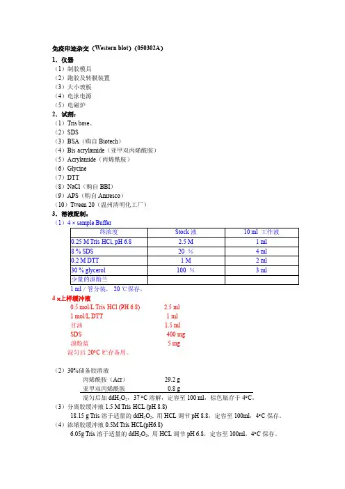 免疫印迹杂交