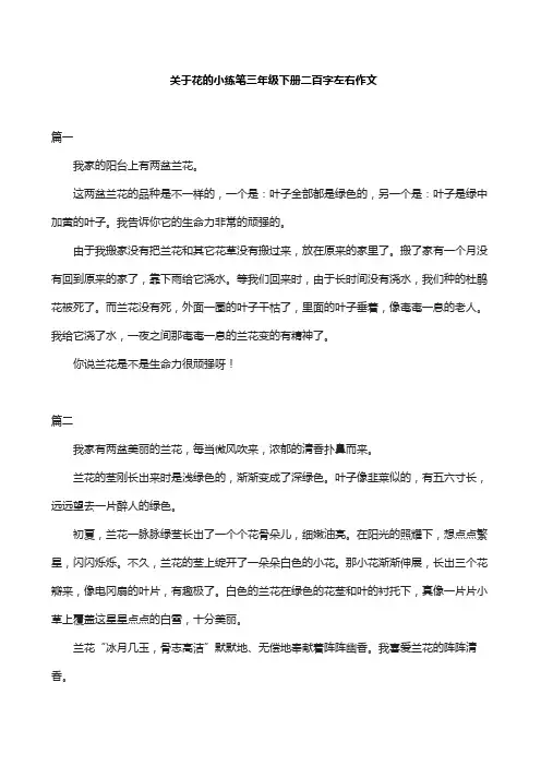 关于花的小练笔三年级下册二百字左右作文