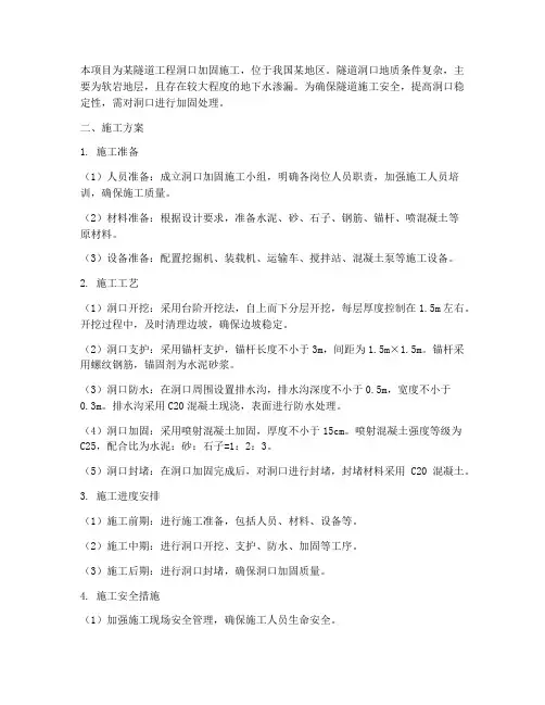 开凿洞口加固工程施工方案