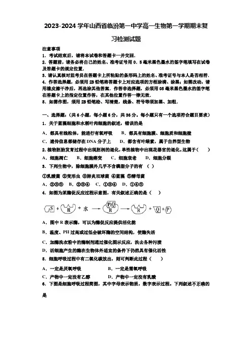 2023-2024学年山西省临汾第一中学高一生物第一学期期末复习检测试题含解析