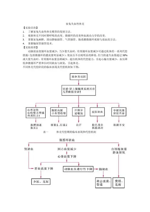 失血性休克实验设计