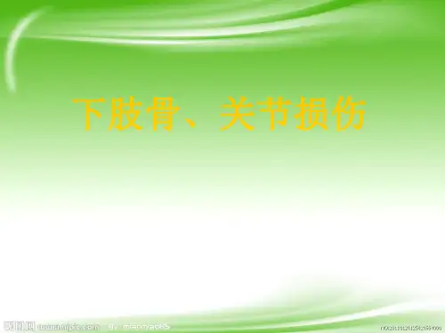 外科教学课件：22-下肢骨、关节损伤