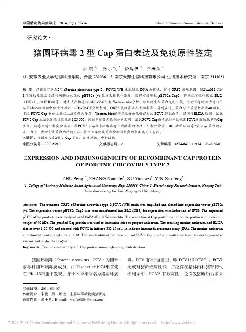 猪圆环病毒2型Cap蛋白表达及免疫原性鉴定