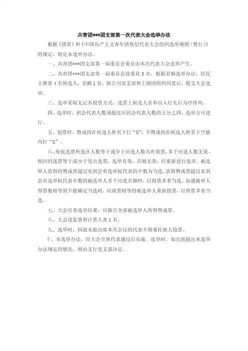 共青团＊＊＊团支部第一次代表大会选举办法