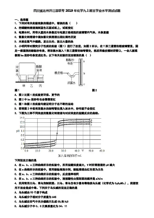 四川省达州开江县联考2019年化学九上期末学业水平测试试题