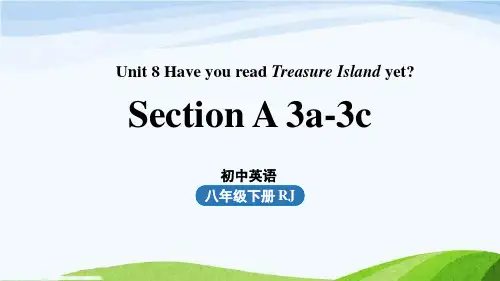 人教版八下英语Unit8第2课时(SectionA3a-3c)