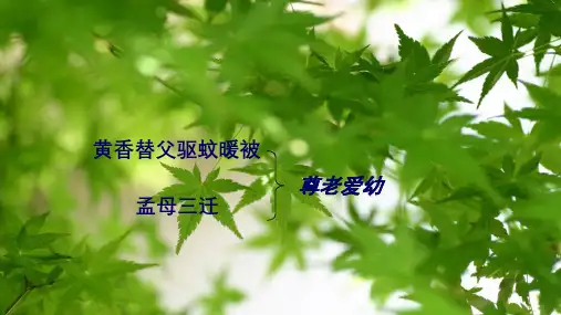第6课《散步》课件（共19张PPT）2022—2023学年部编版语文七年级上册
