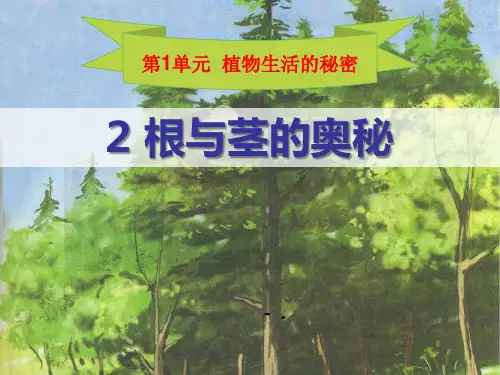 《根与径的奥秘》植物生活的秘密PPT课件
