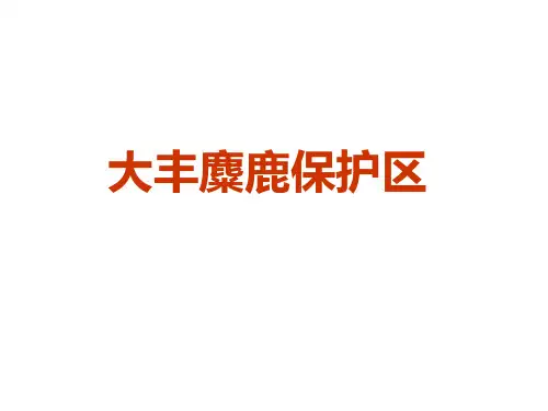 大丰麋鹿保护区