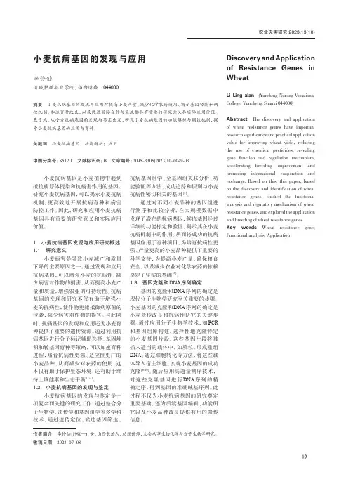 小麦抗病基因的发现与应用