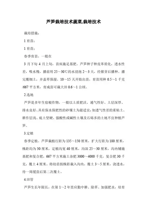 芦笋栽培技术蔬菜