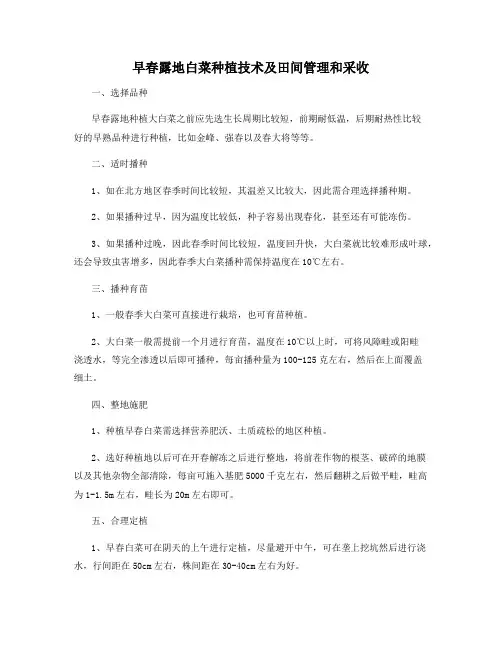 早春露地白菜种植技术及田间管理和采收