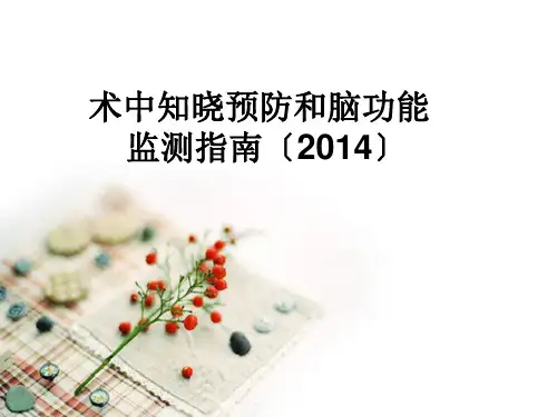 术中知晓预防和脑功能监测指南