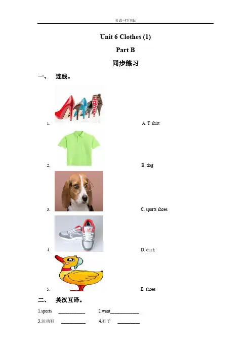 闽教版-英语-三下-Unit 6 Clothes (1) Part B 同步练习3