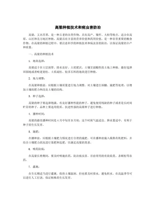 高梁种植技术和病虫害防治